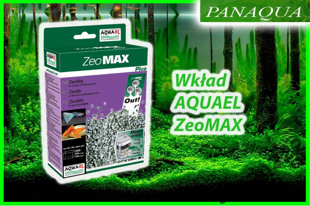 aquaelzeomaxnew.jpg