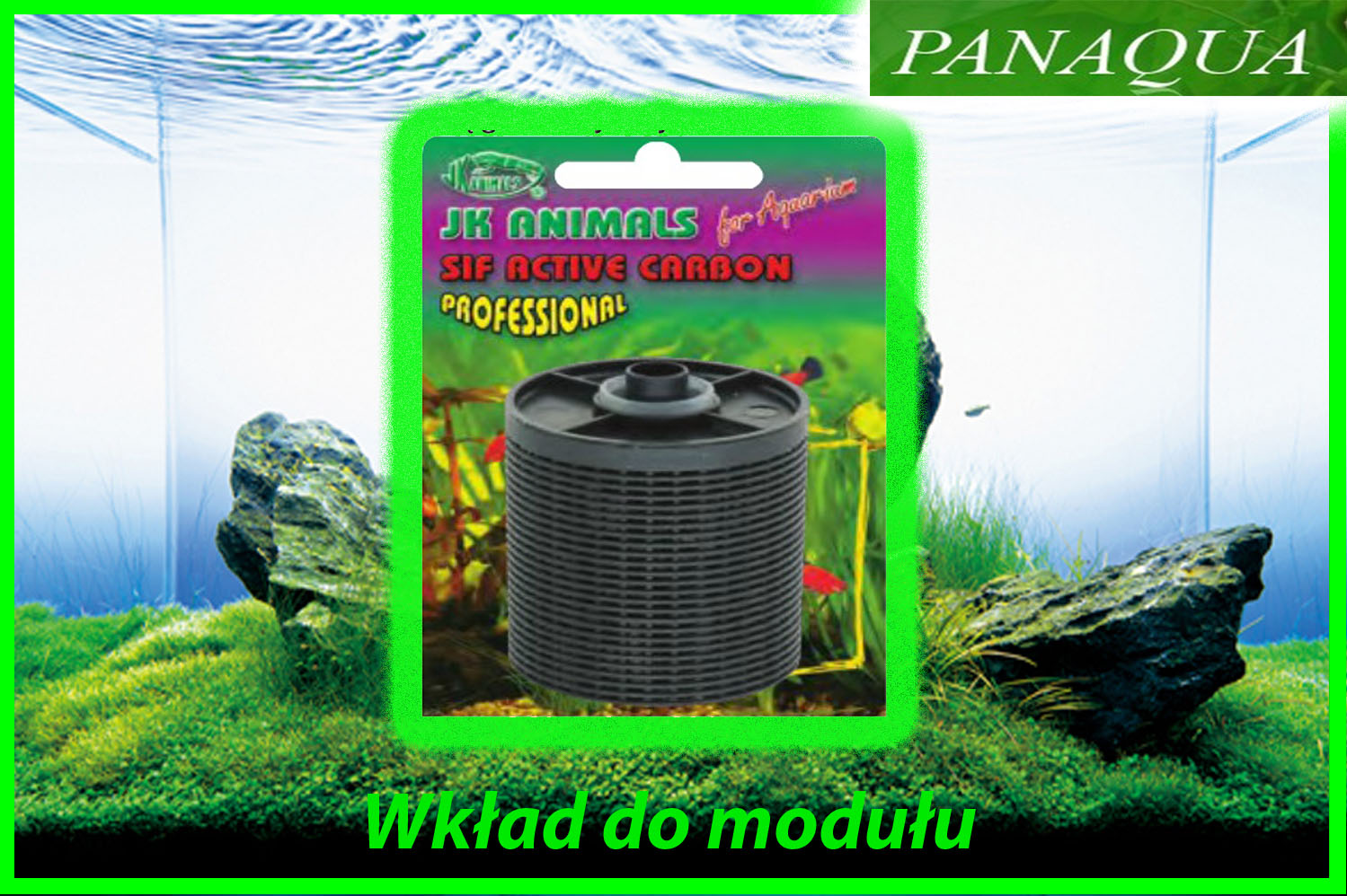 atman modulwegiel.jpg
