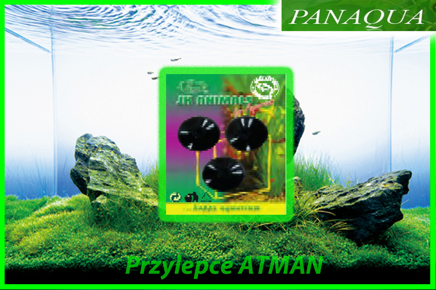 atman przyzsawki.jpg