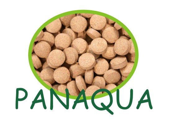 glope shrimpssoczewka.jpg