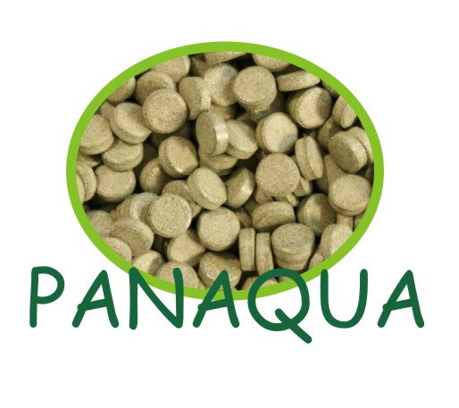 glopex spirulina20przyklejane.jpg