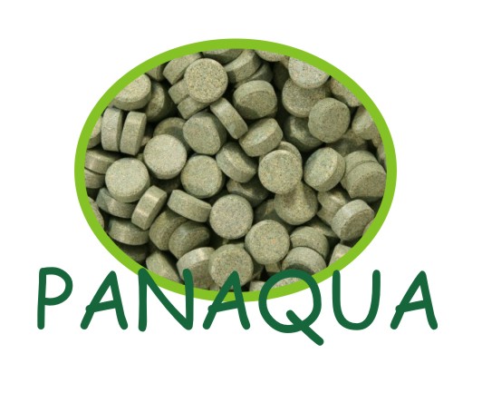 glopex spirulina30przyklejane.jpg