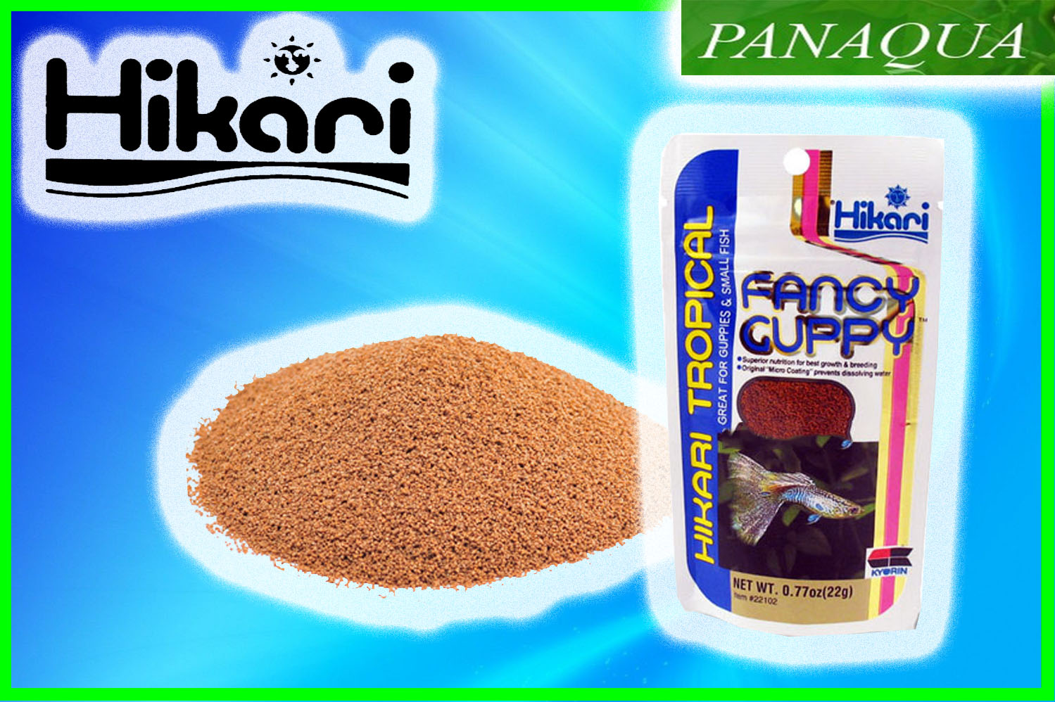 hikariFancyGuppy.jpg