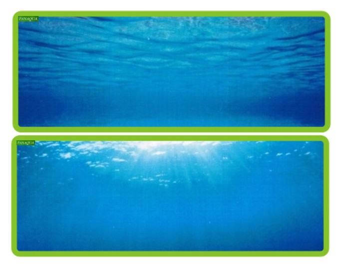 juwel posterniebieska.jpg