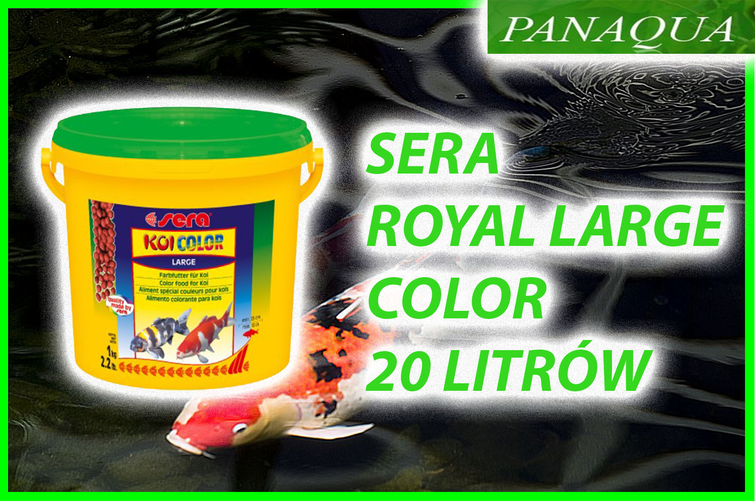 serakoiroyalcolorlarge20.jpg
