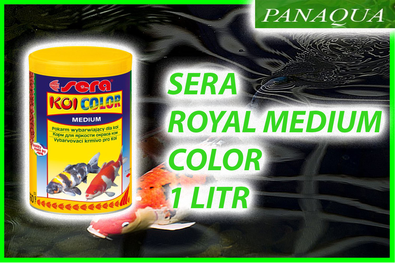 serakoiroyalcolormedium.jpg