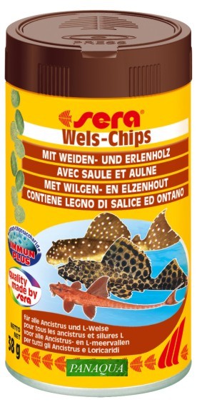 serawelschips.jpg