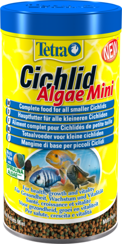 tetra cichlid algae mini.png