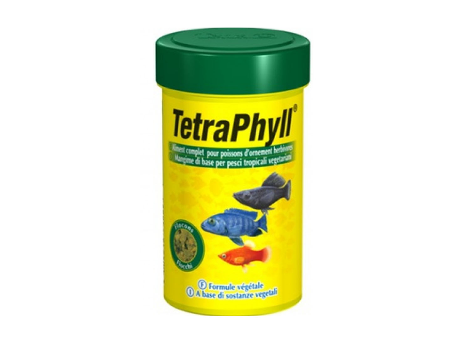 tetra new 10.jpg