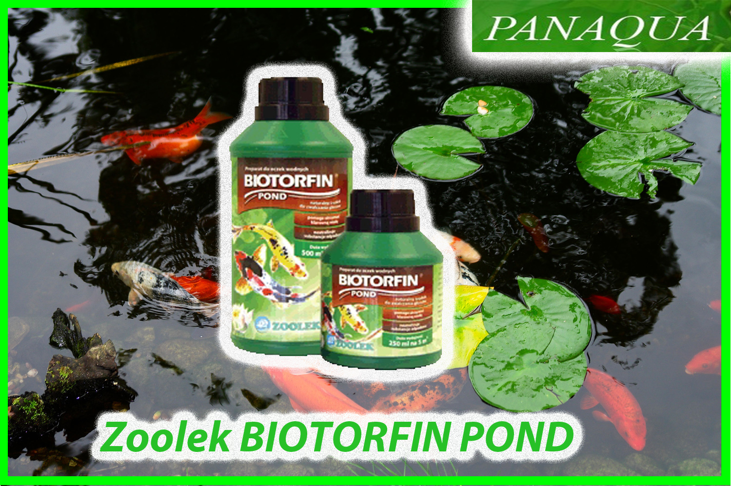 zoolekbiotorfinpond.jpg